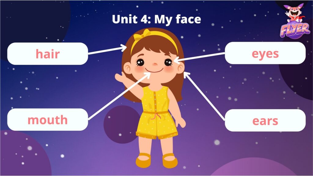 Unit 4: My face