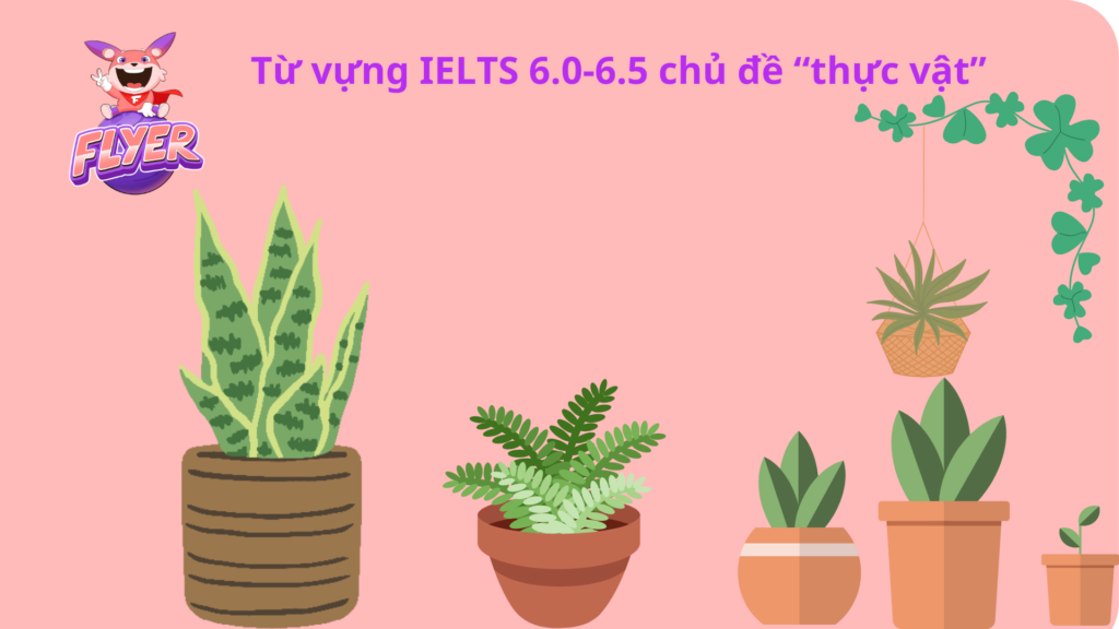 Từ vựng IELTS 6.0-6.5 chủ đề “thực vật”