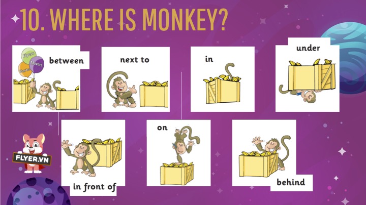 Từ vựng Starters chủ đề: Where is monkey?