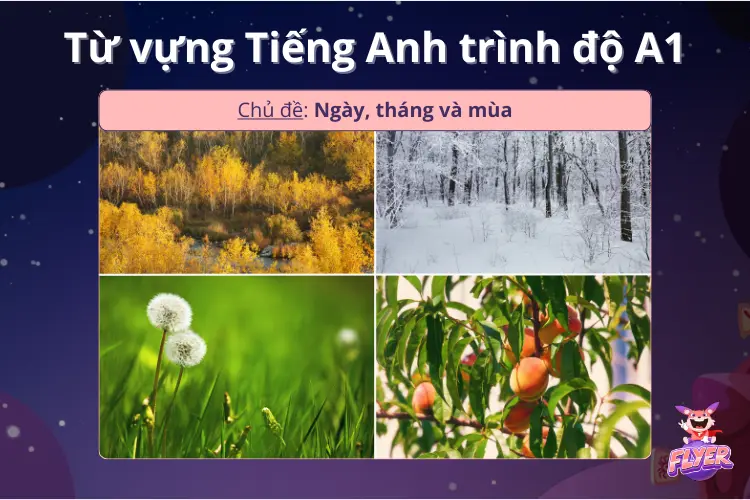 Từ vựng A1 về ngày, tháng, mùa