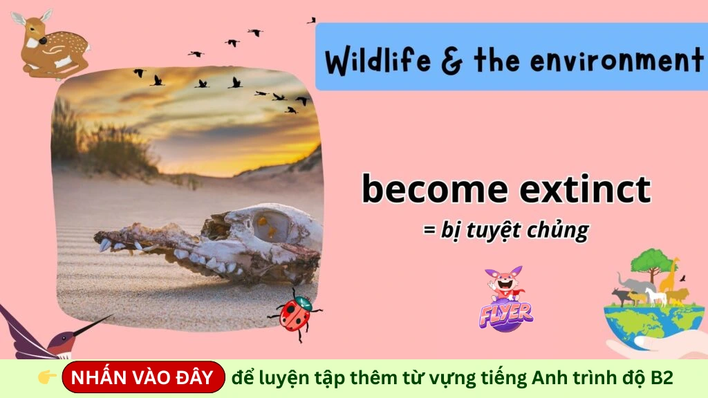 Từ vựng B2 chủ đề Environment