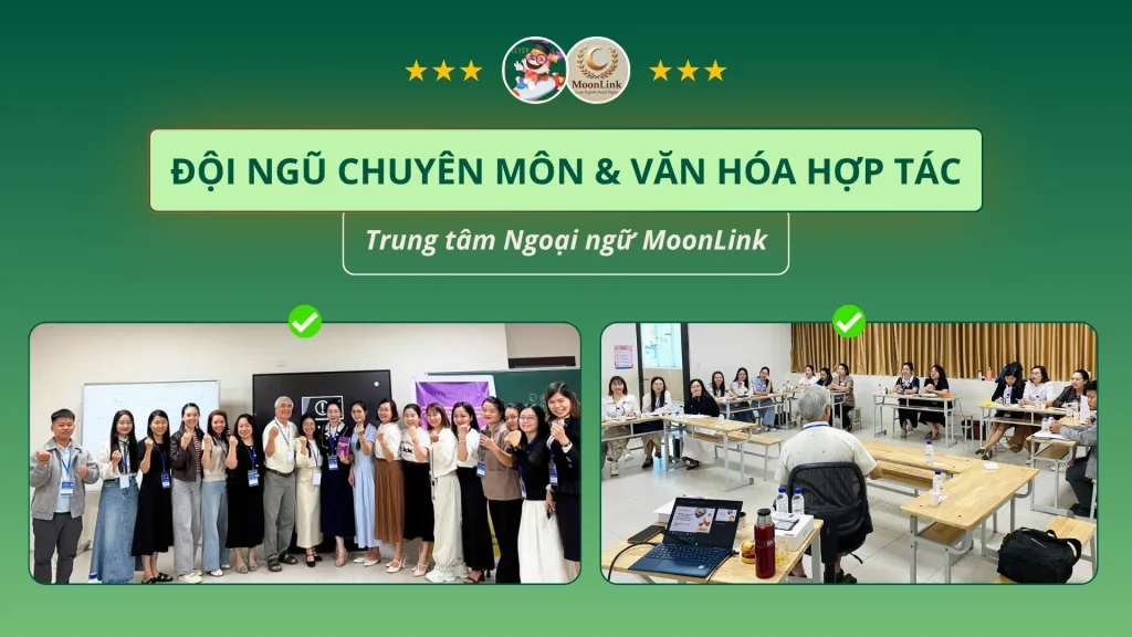 Đội ngũ chuyên môn MoonLink