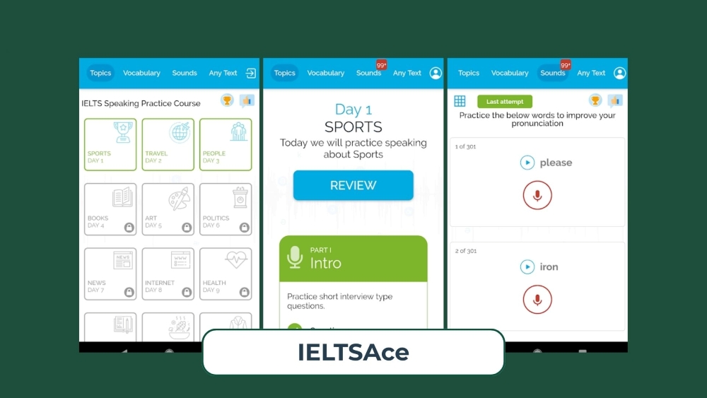 1.6. IELTSAce