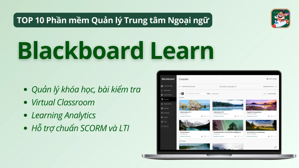 Phần mềm quản lý trung tâm ngoại ngữ BlackBoard Learn